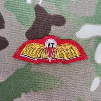 SF Communicator Parachutist Jump qualification / Wings bullion gold on Red Mess Dress