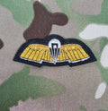 SF Communicator Fallschirmspringer Sprungqualifikation / Flügel Bullion Gold auf schwarzem Mess Dress