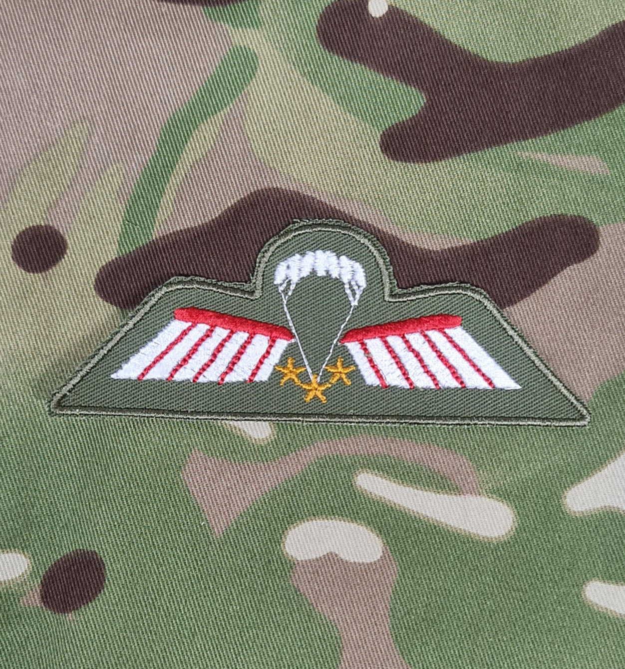 Netherlands / Dutch Airborne Parachutist Qualification Wings - Brevet / C-Ops Wing (Colour)