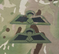Netherlands / Dutch Airborne Parachutist Qualification Wings - Brevet / D Wing (HALO/HAHO)(Subdued - Olive / MTP)