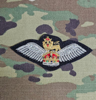 Abzeichen Nr. 1 des Pilotengeschwaders des Army Air Corps (AAC) (CIIIR)