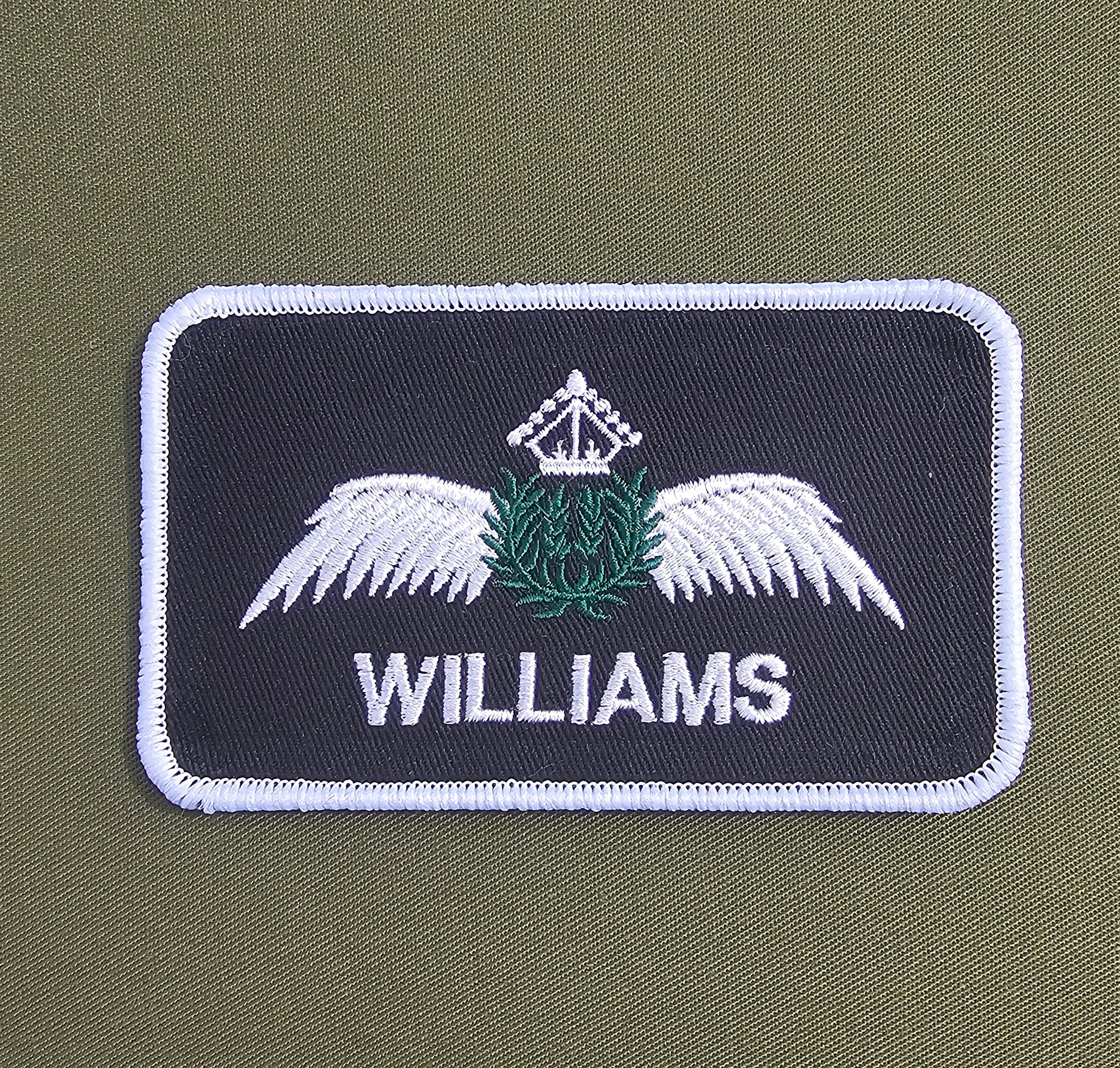 PPL / Private Pilots License - Pilot / Aircrew Style Name Tag Chest Identification Badge (Choose your Colour)