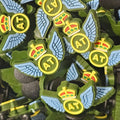 REME Aircraft Tech / AT Wing - Shoe charm - clog / water shoe - novelty charm / gem / logo
