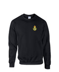 Embroidered RAF Royal Air Force WW2/CR3 Tudor Crown GVIR King Charles CR3 logo motif T-Shirt Hoodie Sweatshirt