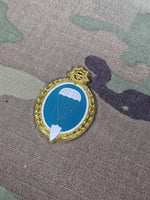 Uruguay - Parachutist / Paratrooper Jump Wings - Metal pin badge brooch