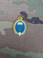 Uruguay - Parachutist / Paratrooper Jump Wings - Metal pin badge brooch
