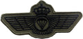 Spanish/Spain paracaidista Airborne Parachutist / paratrooper Wings