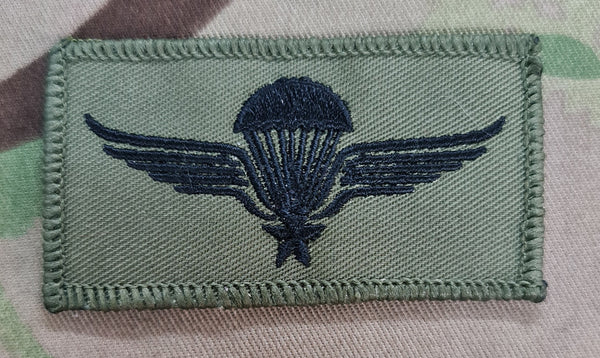 Norway / Norwegian Airborne Parachutist Wings freefall qualification Badge / Patch