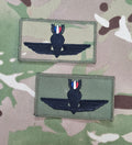 Panama Parachutist Qualification Wings Abzeichen / Patch
