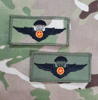 Vietnam Parachutist Qualification Wings Badge / Patch