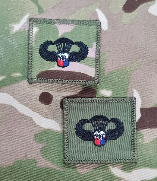 Philippines Parachutist Qualification Wings - basic  Badge / Patch