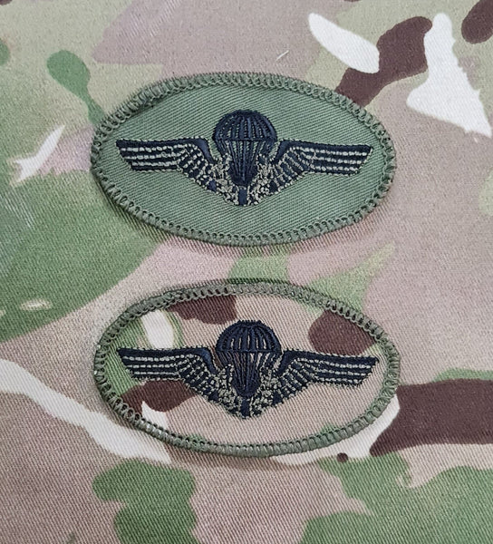 Brazil Parachutist Qualification Wings Badge / Patch