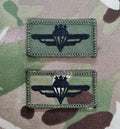 Latvia Parachutist Qualification Wings - basic