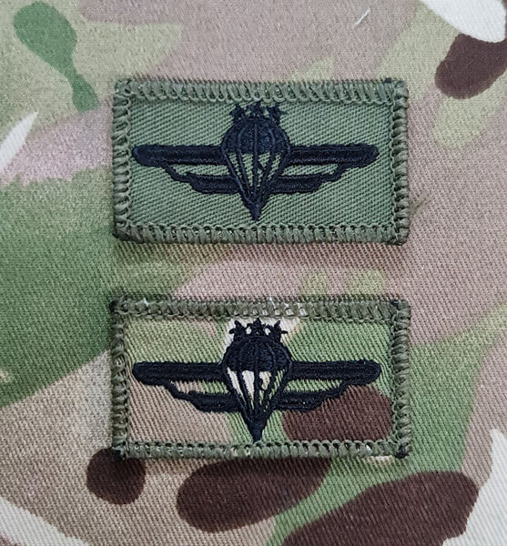 Lettische Fallschirmspringer-Qualifikationsflügel - Grundkenntnisse