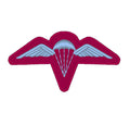 Australian Parachutist Wings  - Embroidered Design - Choose your Garment