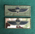 Israeli Defence Force IDF Paratrooper Parachutist qualification jump wings