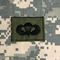 US American Airborne Parachutist Jump wings Wings Army