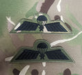 Netherlands / Dutch Airborne Parachutist Qualification Wings - Advanced / A Wing