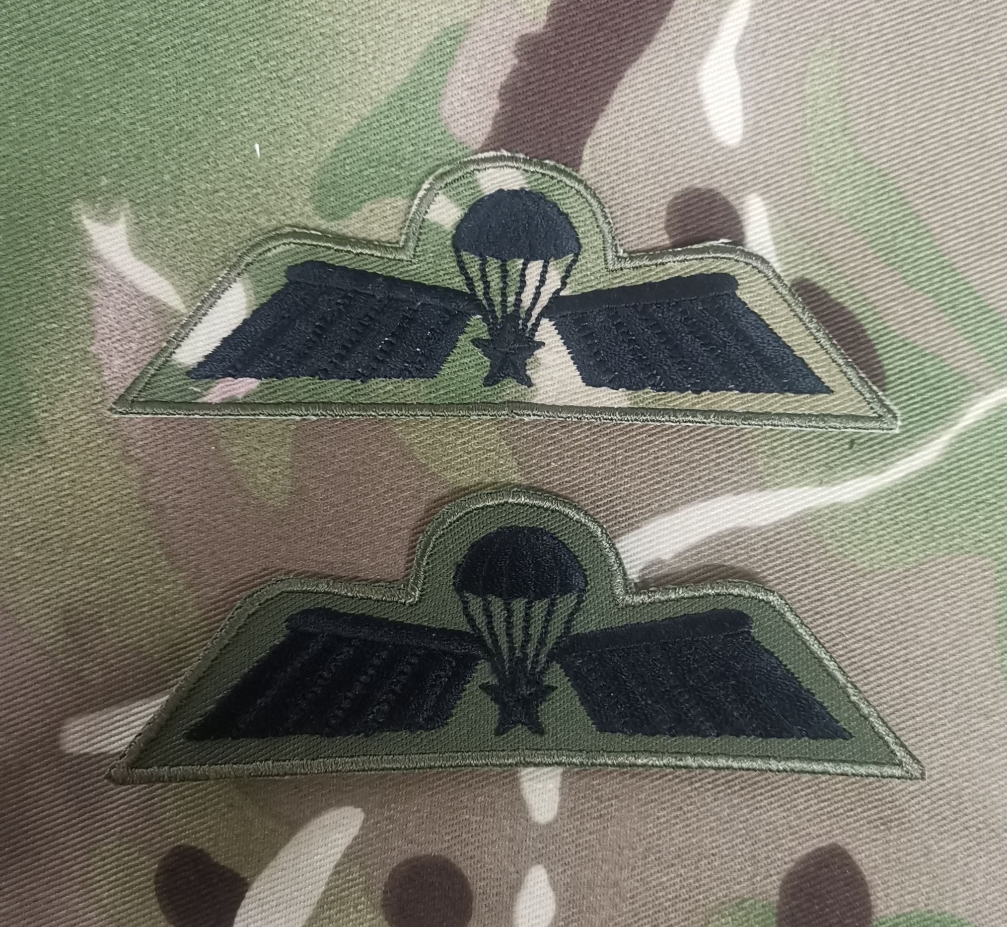 Netherlands / Dutch Airborne Parachutist Qualification Wings - Advanced / A Wing