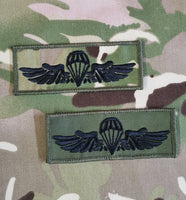 Serbia / Serbian Airborne Parachutist Qualification Wings Cloth Badge / Patch