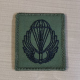 Romania / Romanian Airborne Parachutist Qualification Wings Cloth - Variation batalionul 495 parasutisti Badge / Patch