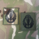 Romania / Romanian Airborne Parachutist Qualification Wings Cloth - Variation batalionul 495 parasutisti Badge / Patch