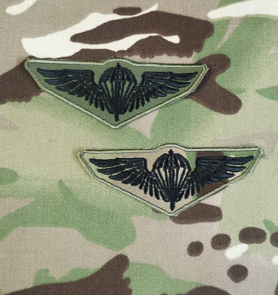 Newer Style Ukraine Parachutist Para / Airborne Qualification Wings Badge / Patch