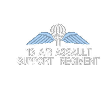Gesticktes Design - Wählen Sie Ihr Kleidungsstück - 13 AASR Airborne Parachutist Wings