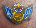 Aircraft Engineer Wings Qualification Badge no2 dress (EIIR)