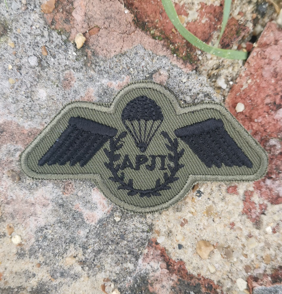 Parachute Instructor APJI Wings